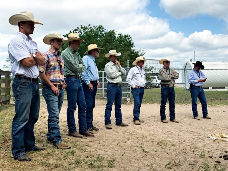 Deseret Cattle and Citrus - King Ranch Institute for Ranch Management