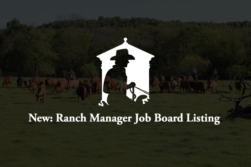 Job Board feature image