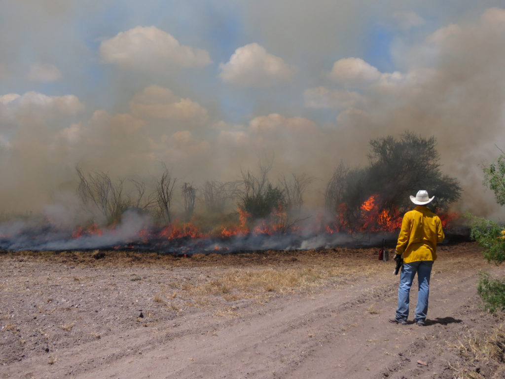 Person watching prescribed burn with dark smoke and flames