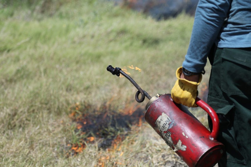 Drip torch with burning grass in background