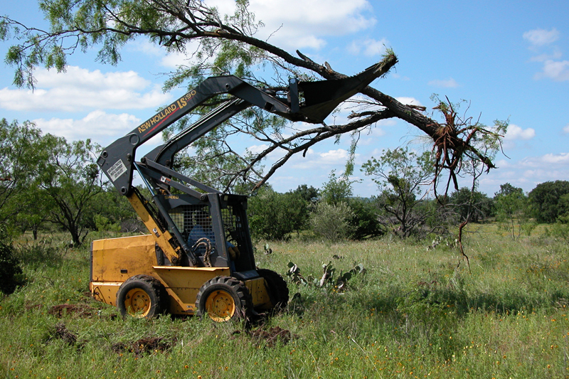 Skid Steer Loader Removing Mesquite Tree